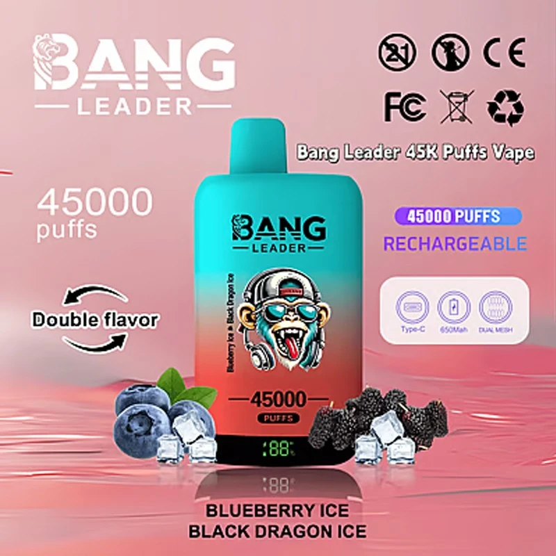 Bang Leader 45000 Puffs